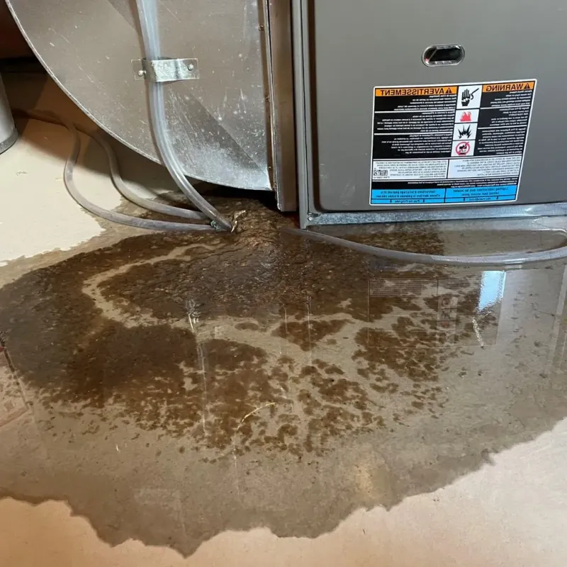 Pipe Burst and Leak Restoration in West Hill, OH