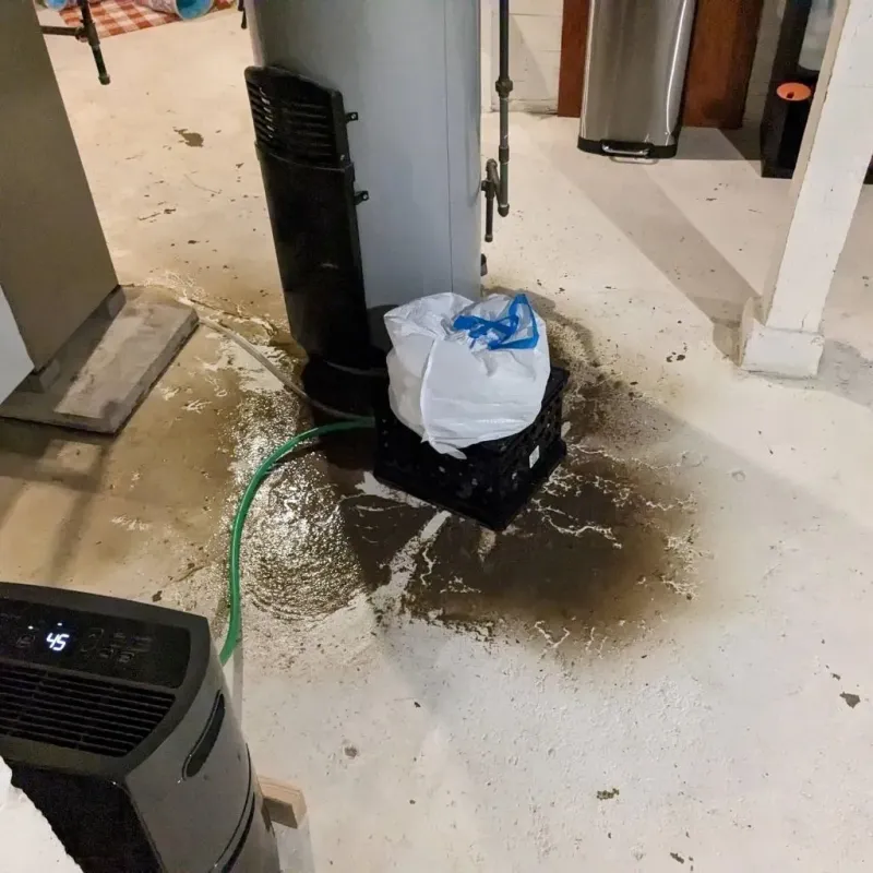 Sewage Backup Cleanup Service in West Hill, OH